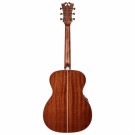 D'Angelico Premier Tammany Vintage Natural m/pickup thumbnail