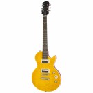 Epiphone Slash "AFD" Les Paul Special-II thumbnail