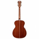 D'Angelico Premier Tammany Iced Tea Burst m/pickup thumbnail