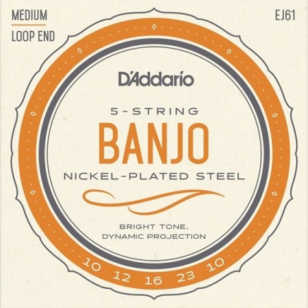 D'Addario EJ61 Banjo 5-str (010-023)