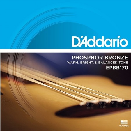D'Addario EPBB170 Ak. Bass (045-100)