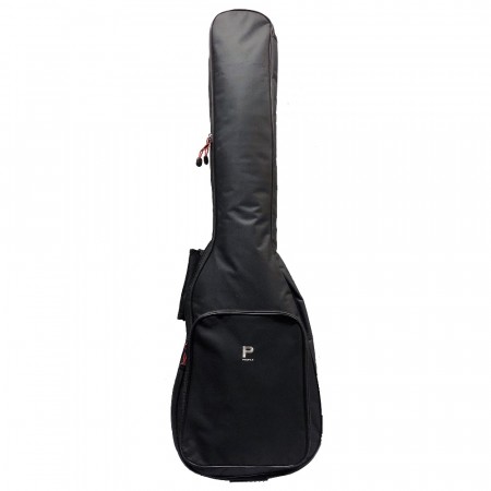 Profile PR50-EB Bag Elgitar