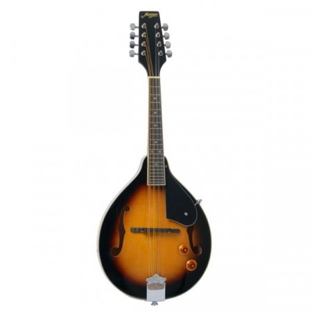 Morgan M 20 E VS Mandolin m/pickup