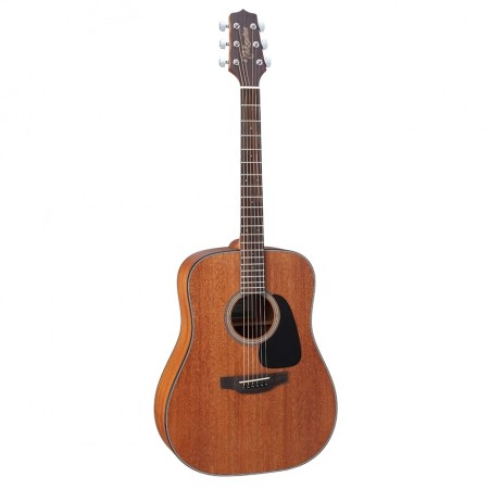 Takamine GD11M-NS