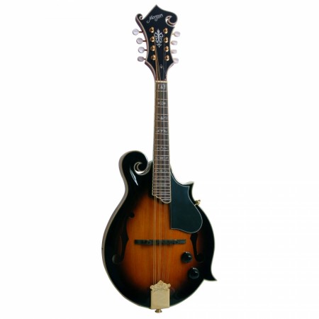 Morgan M 70 SE AV Mandolin m/pickup