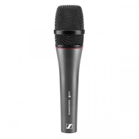 Sennheiser e 865 Kondensator Vokalmikrofon